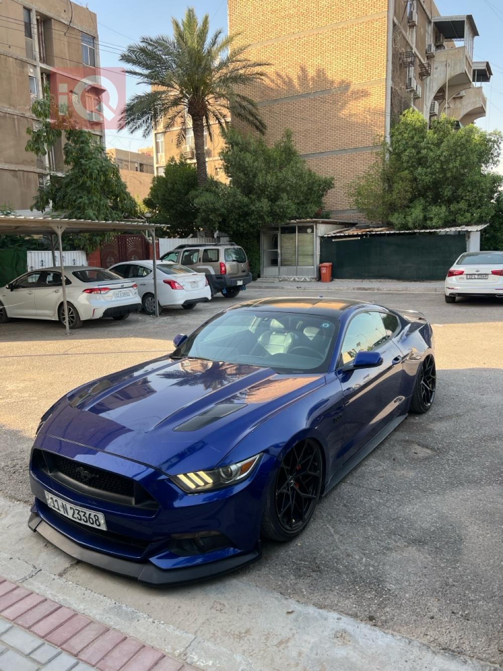 فۆرد مۆستانگ